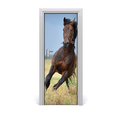 Fototapeta na dvere Kôň na poli