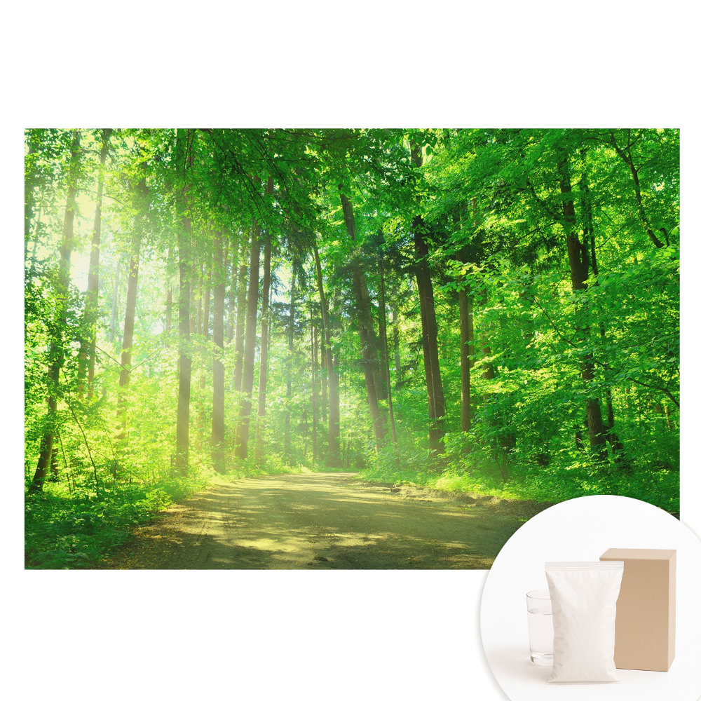 Fototapeta s potlačou na netkanej textílii Zelený les, slnko, pokoj