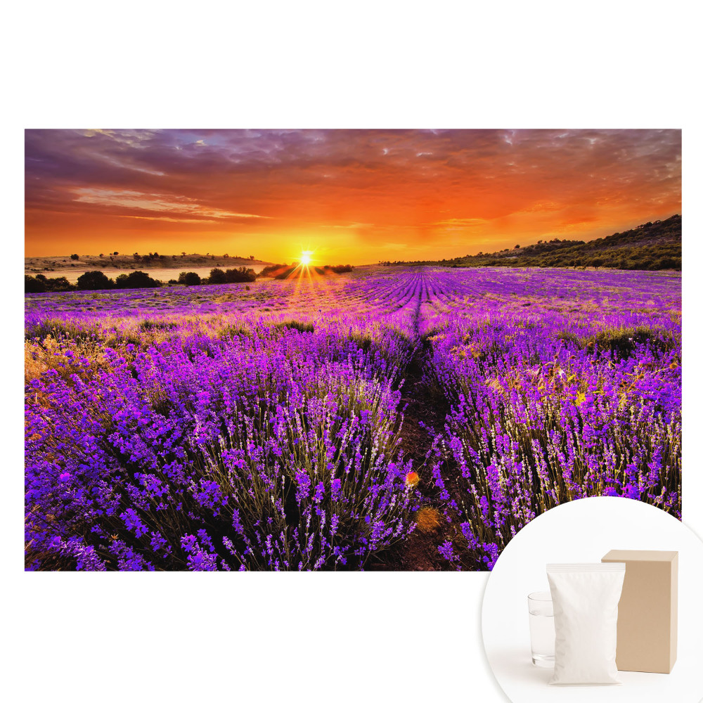 Fototapeta na netkanej textílii Západ slnka na levanduľových poliach