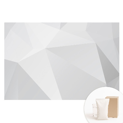 Fototapeta na netkanej textílii Sivé geometrické tvary