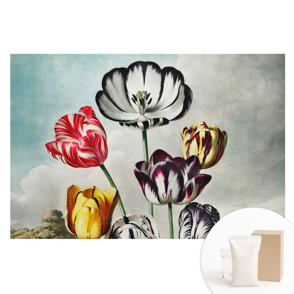 Netkaná tapeta Kytica tulipánov, klasická elegancia