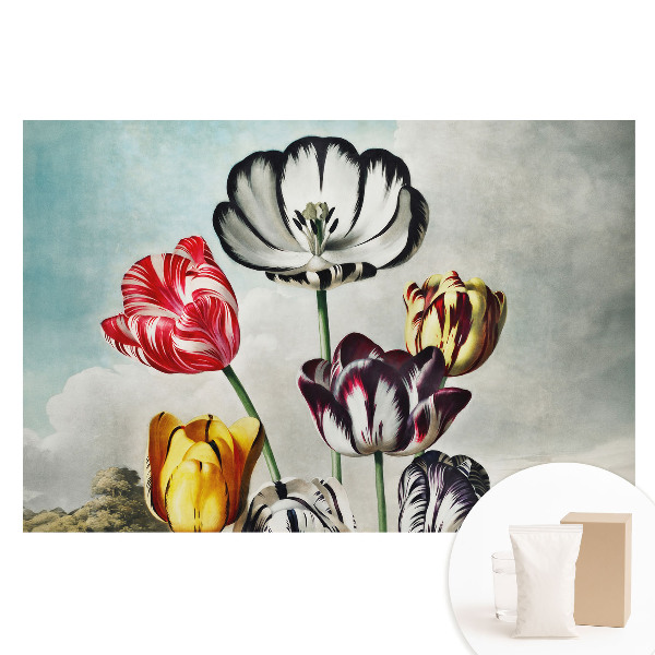 Netkaná tapeta Kytica tulipánov, klasická elegancia