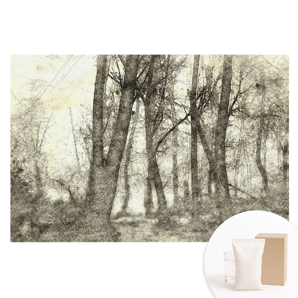 Netkaná fototapeta Atmosférická lesná krajina