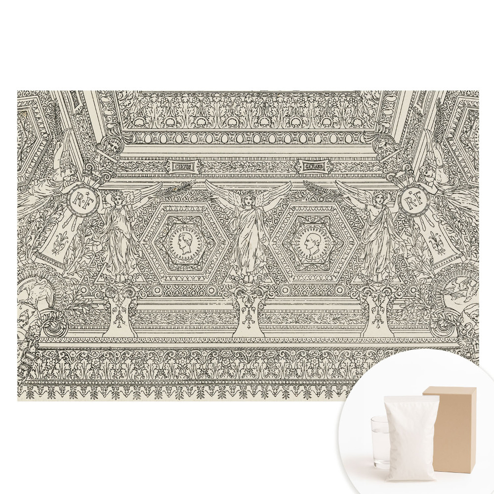 Netkaná fototapeta s detailným klasickým ornamentom