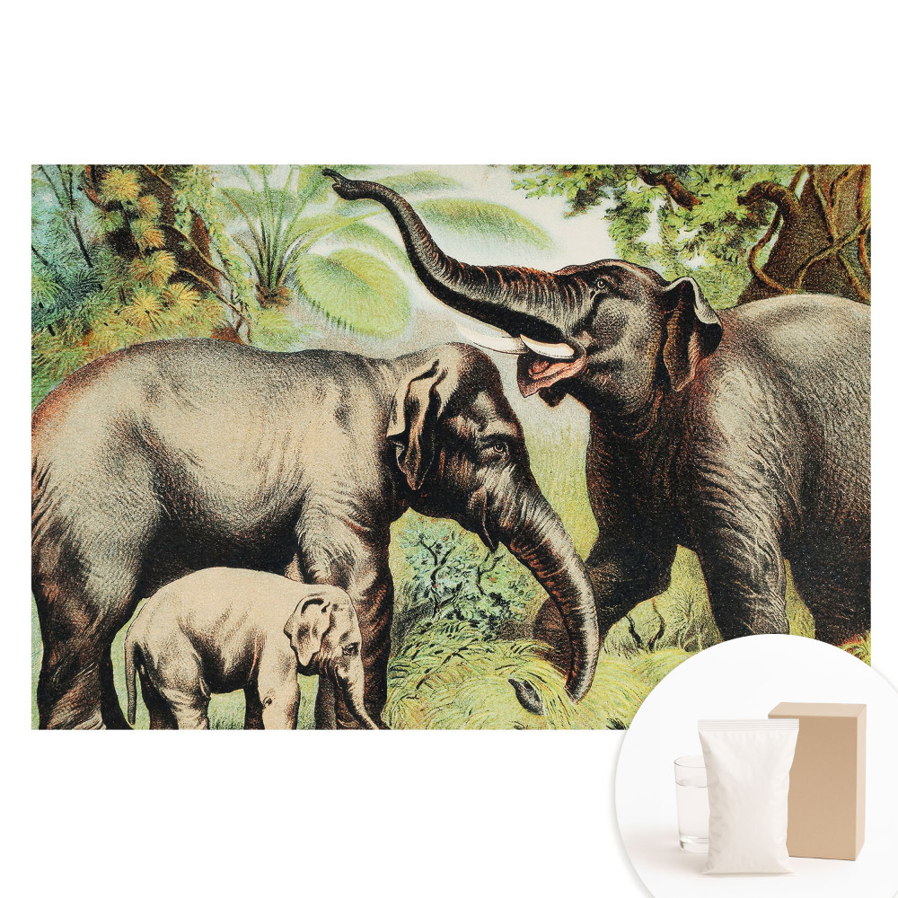 Fototapeta s potlačou na netkanej textílii Rodina slonov na pozadí džungle