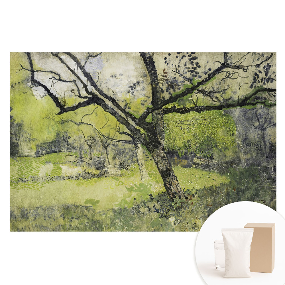 Fototapeta s potlačou na netkanej textílii Zelený priestor v parku strom