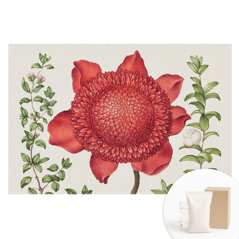 Fototapeta na vliese Klasický kvetinový aranžmán z prírody