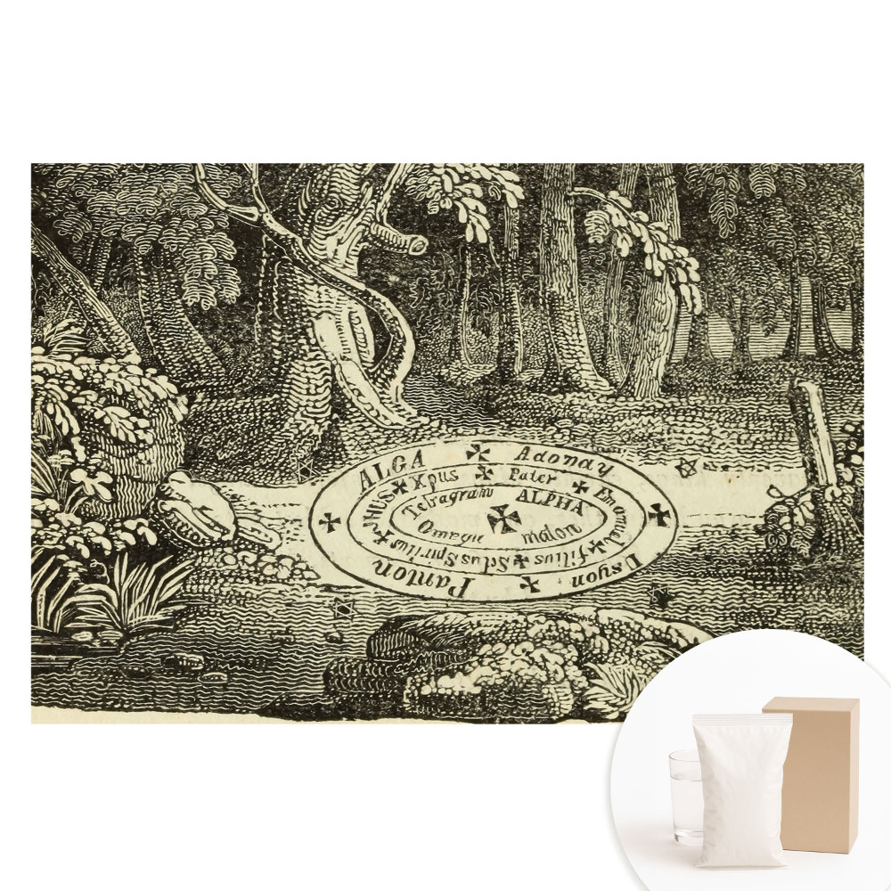 Fototapeta na netkanej textílii Klasická ilustrácia mystického lesa