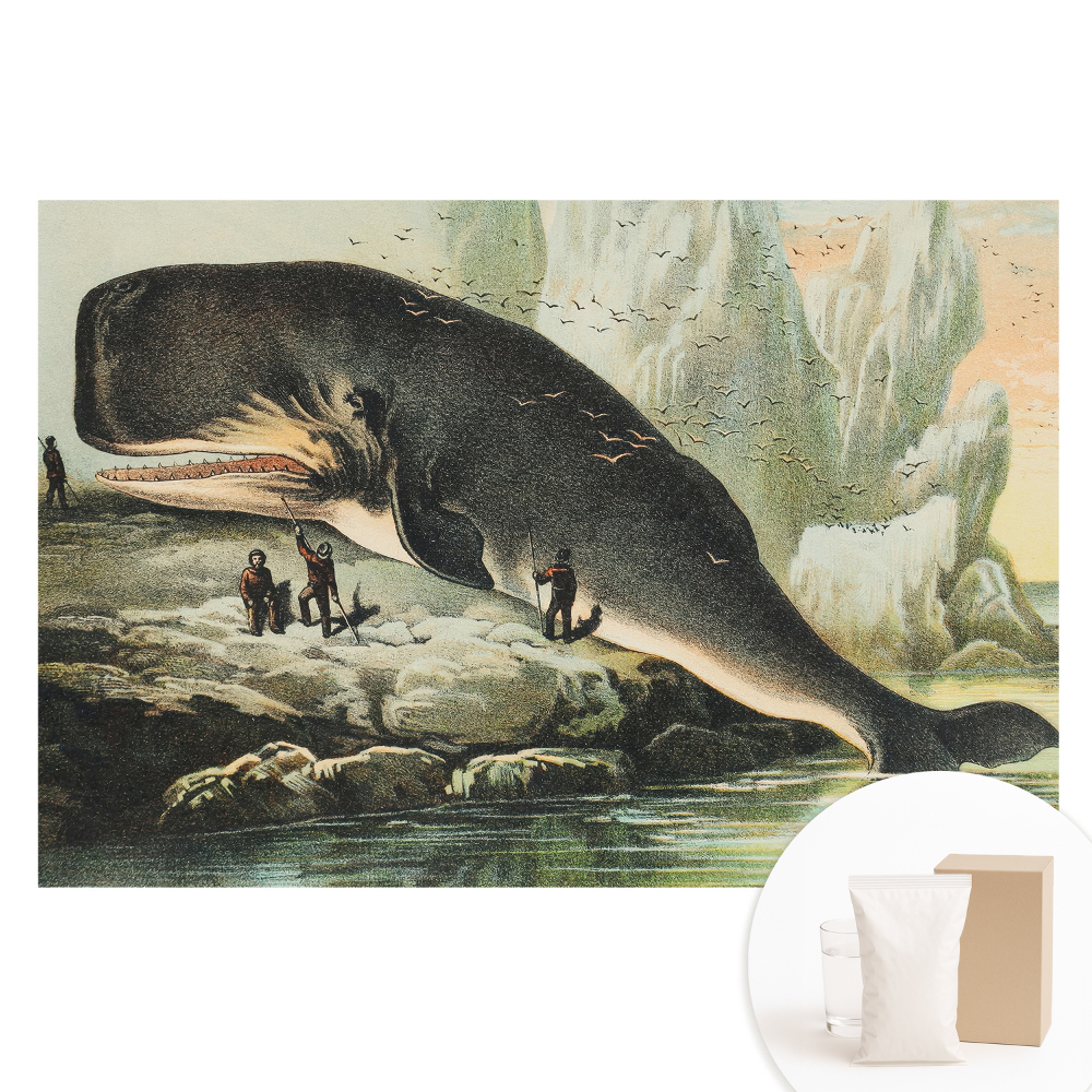 Fototapeta na netkanej textílii Vorvaň na brehu v klasickom prostredí