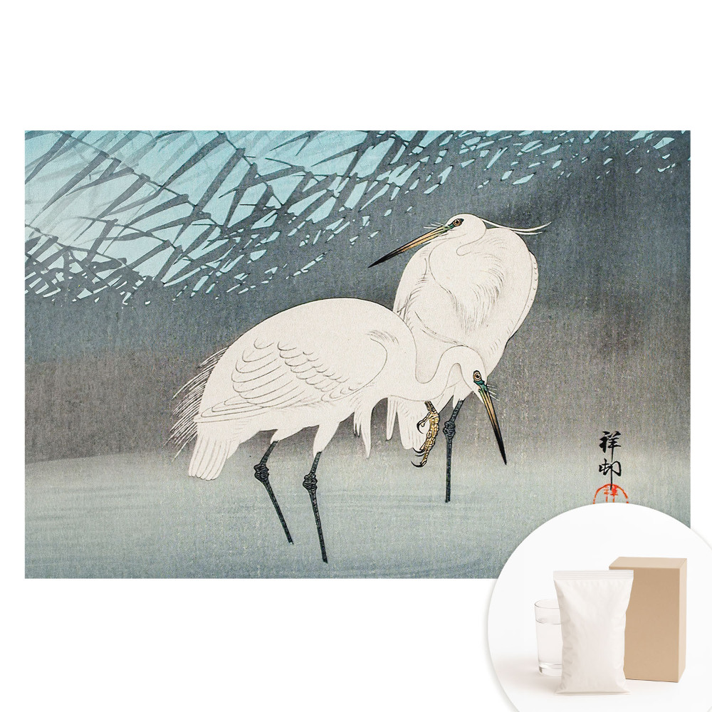 Fototapeta s potlačou na netkanej textílii Tradičné vtáky elegancia detail voda mier