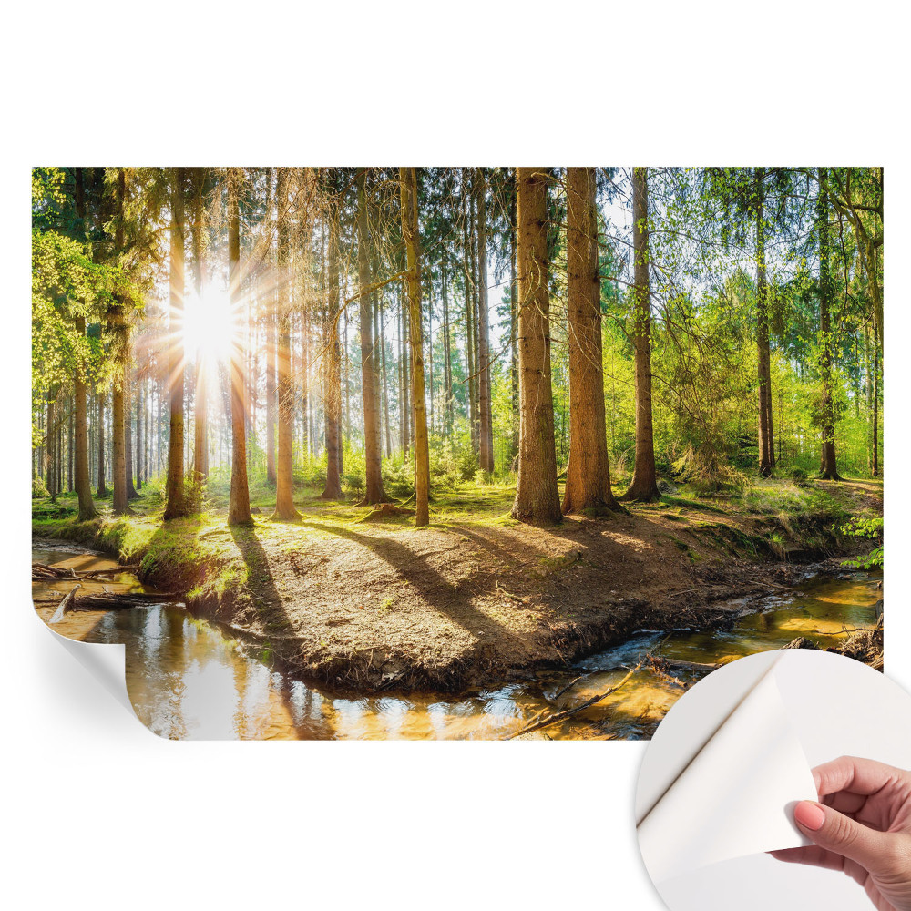 Samolepiaca fototapeta na stenu Lesná idylka