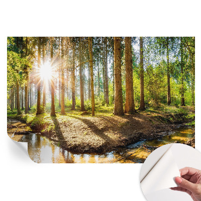 Samolepiaca fototapeta na stenu Lesná idylka