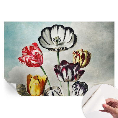 Samolepiaca tapeta do obývačky Farebné tulipány