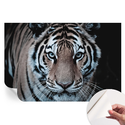 Moderná fototapeta do obývačky Portrét tigra