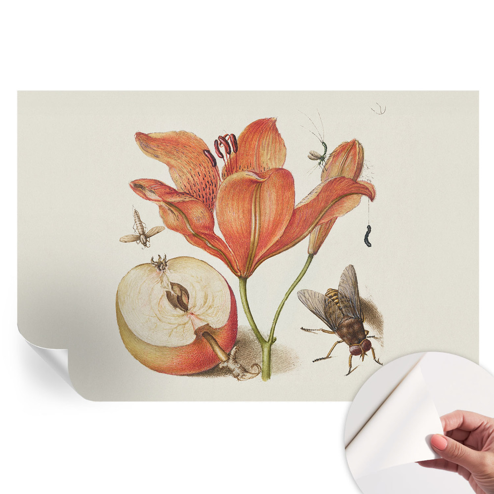 Moderná fototapeta do obývačky Botanická ilustrácia