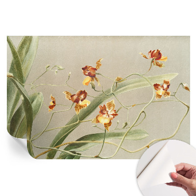 Samolepiaca tapeta do obývačky Klasické orchidey