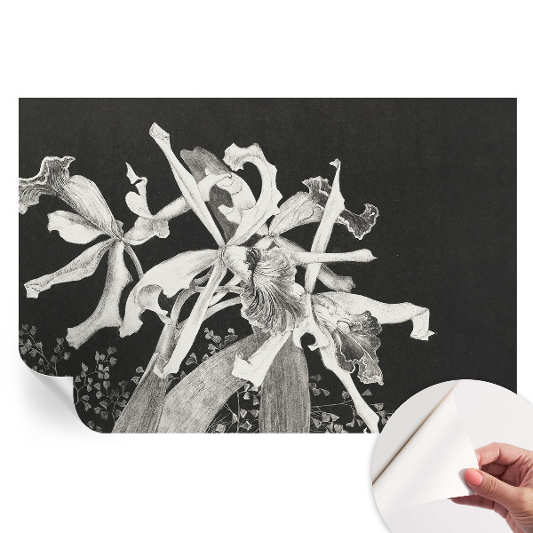 Samolepiaca nástenná fototapeta s ilustráciou orchidey