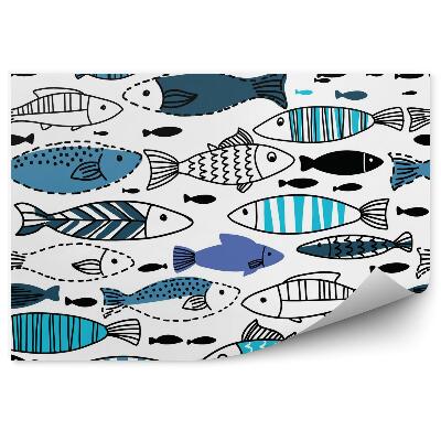 Fototapeta na stenu Podvodný svet rýb