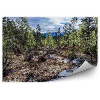 Fototapeta na stenu Príroda Les Potok Hora