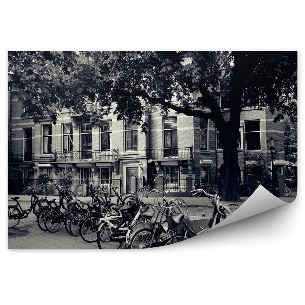 Fototapeta na stenu Bicykle v Amsterdame čierna a biela