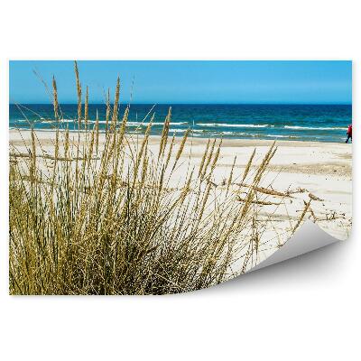 Fototapeta na stenu Trávnaté duny morská pláž Baltské more