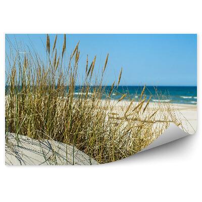 Fototapeta Tráva Duny Pláž Baltické More Nebo Leba