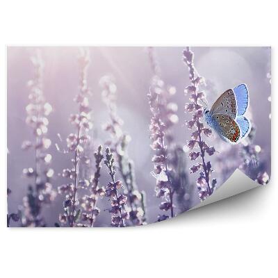 Fototapeta Motýľ Na Vetvičke Vresu