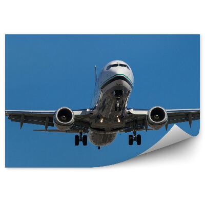 Fototapeta na stenu Lietadlo Prúdové Lietadlo Let Na Oblohe