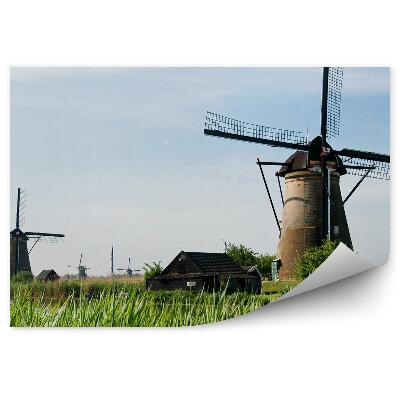 Fototapeta na stenu Zelena trava tradicionalna vas z mlini na veter