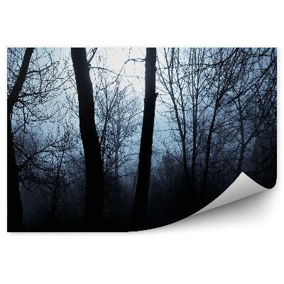 Fototapeta na stenu Tiene stromov hmla