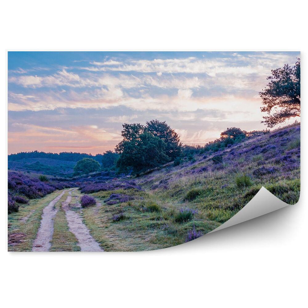 Fototapeta na stenu Poľná Cesta Medzi Kopcami A Vresoviskami