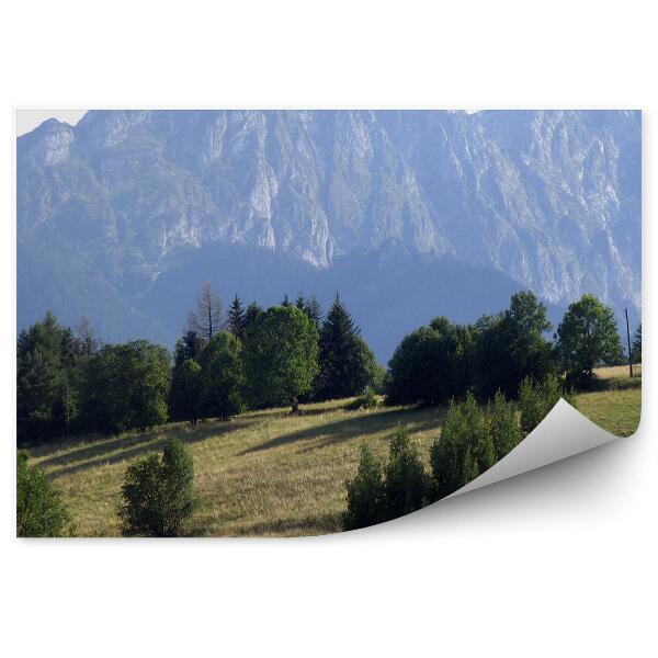 Fototapeta Giewont hory ihličnaté stromy tráva