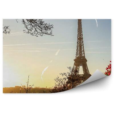 Fototapeta Barvit spomladanski posnetek eifflovega stolpa