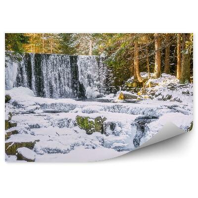 Fototapeta Zimný sneh vianočný stromček roky vodopád