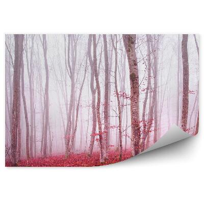 Fototapeta Magická lesná hmla