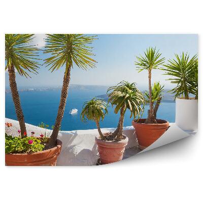 Fototapeta na stenu Palmy Kaktusy Kvetináče Terasa Jachta Oceán Hory Obloha Mraky