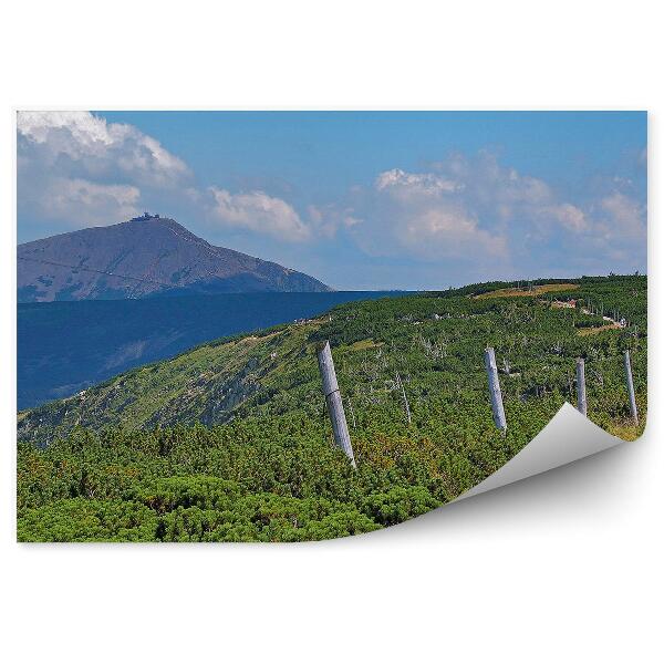 Fototapeta na stenu Sudetské hory krajina