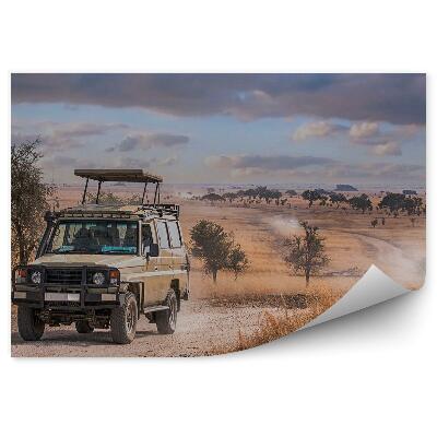 Fototapeta Dym Prach Piesok Safari Cesta Zamračená Obloha