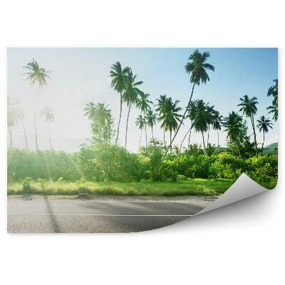 Fototapeta Prázdna cesta džungľa stromy rastliny obloha mraky Seychely