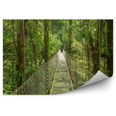 Fototapeta Visutý most s ochranou v hustom lese