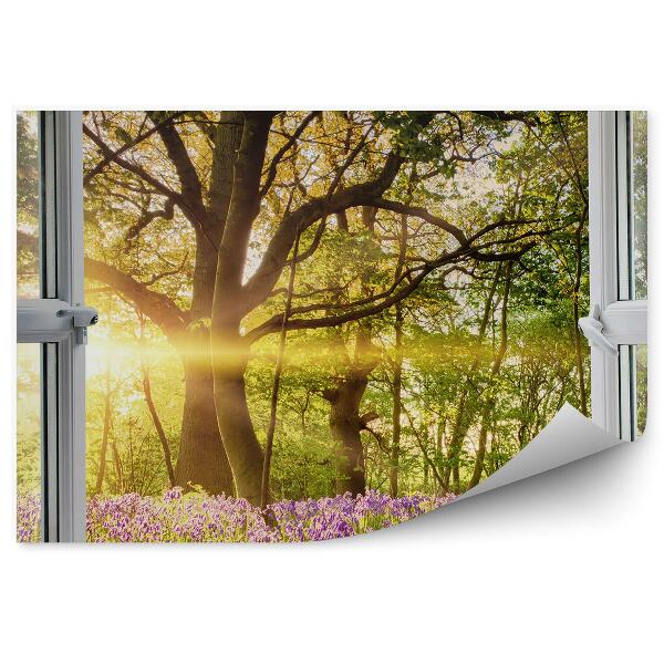 Fototapeta Jarná krajina za oknom stromy kvety