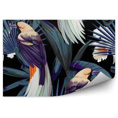 Fototapeta Vtáky, orchidey a noc v džungli