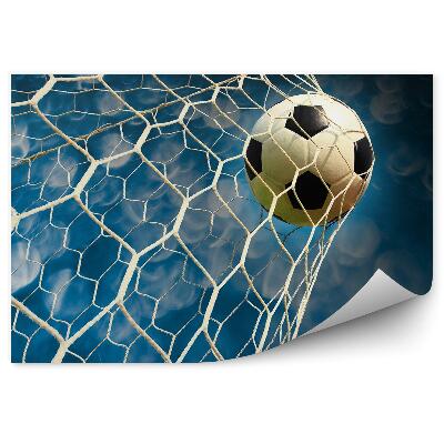 Fototapeta Žoga za gol nebo