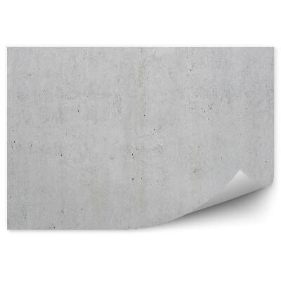 Fototapeta na stenu Číra železobetónová stena