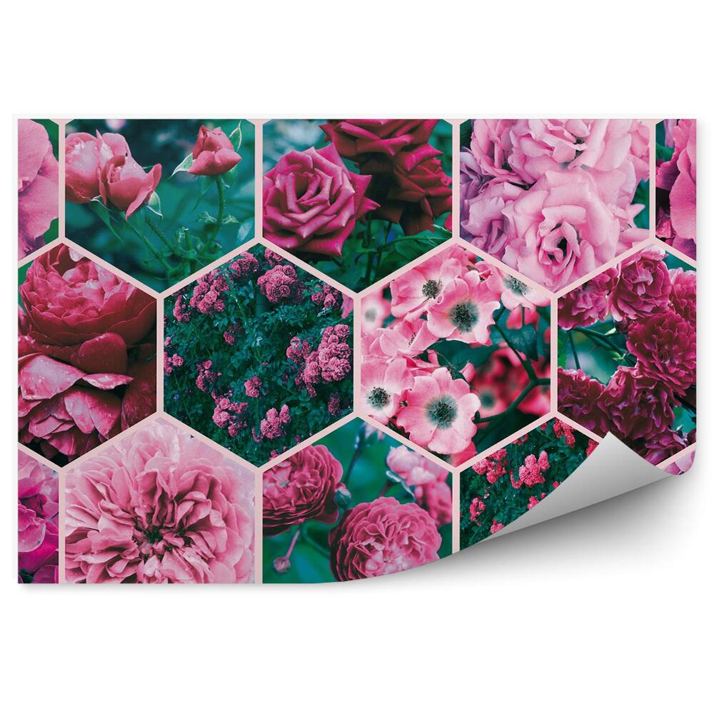 Fototapeta na stenu Koláž Z Ruží Kvety Rastliny