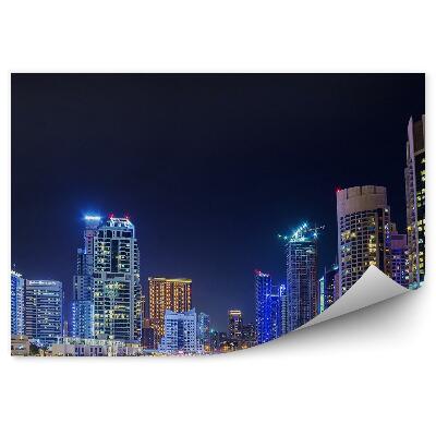 Fototapeta Panoráma mesta mrakodrapy rieka palmy nebo