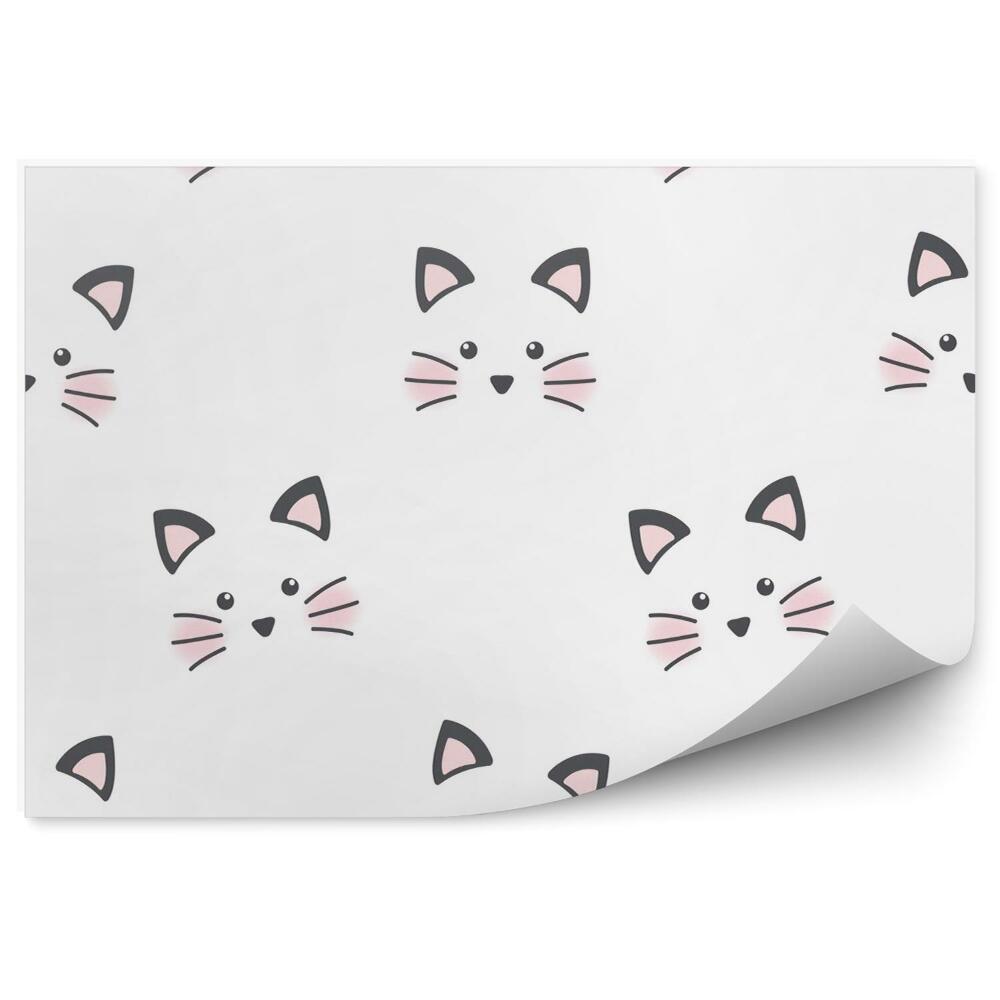 Fototapeta na stenu Roztomilá tvár mačičky