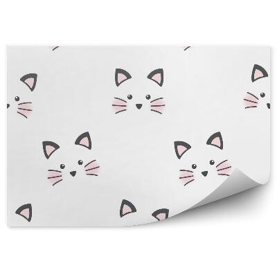 Fototapeta na stenu Roztomilá tvár mačičky