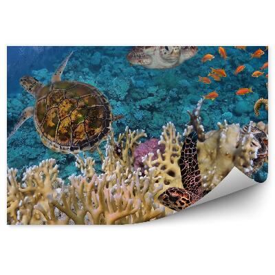 Fototapeta na stenu Korytnačka a koralový útes