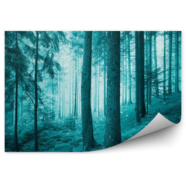 Fototapeta Tyrkysový zasnený les